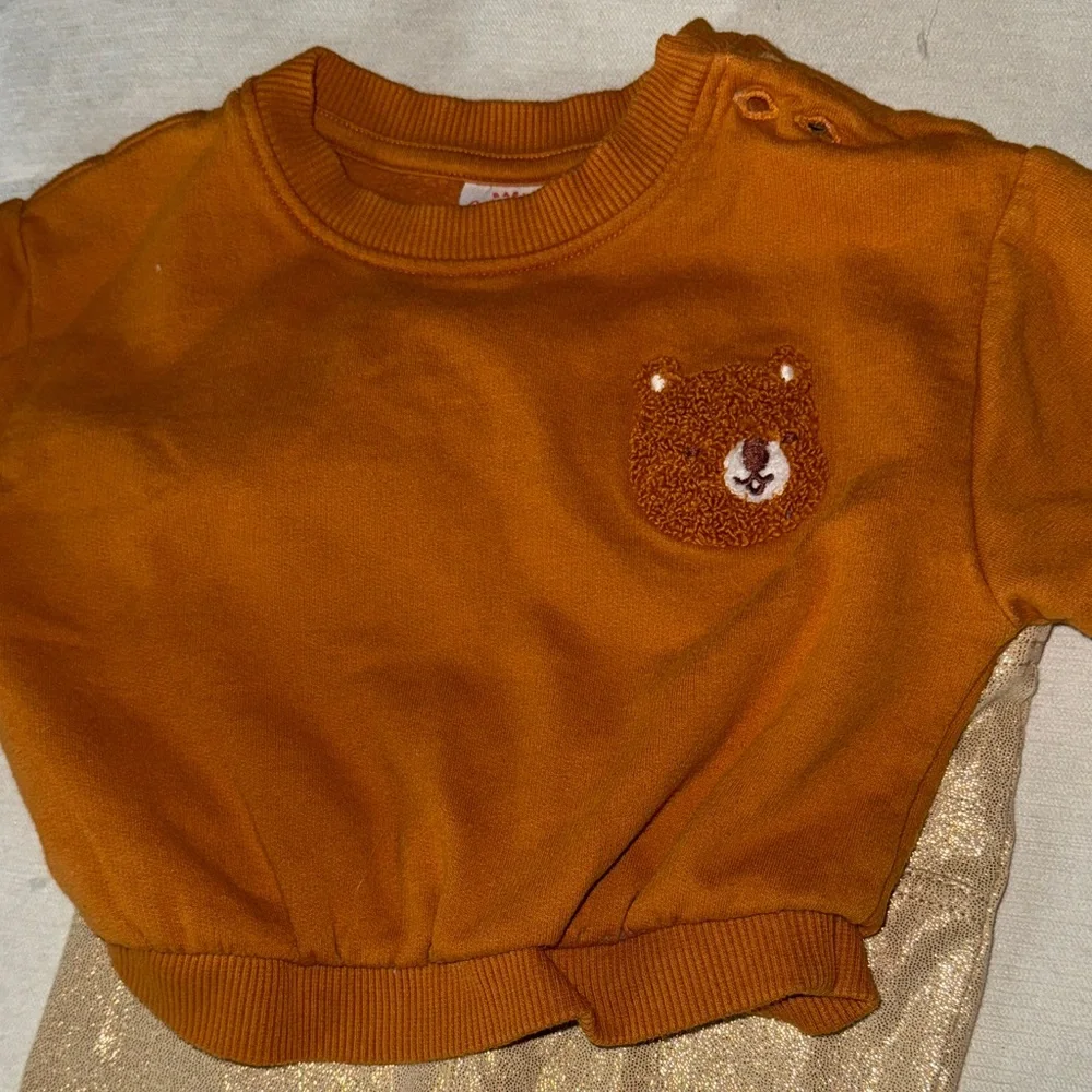 Bear Sweatshirt Baby Outfit